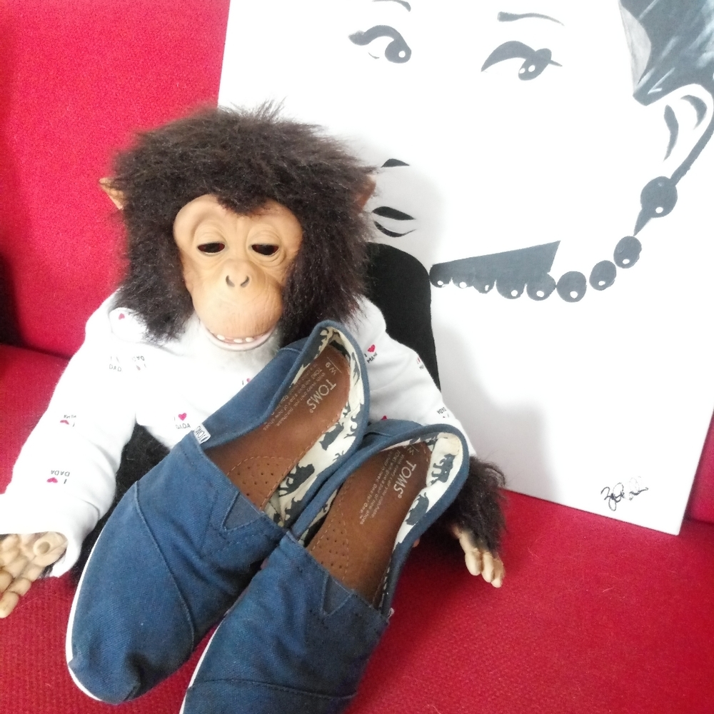 Toms Canvas Shoes